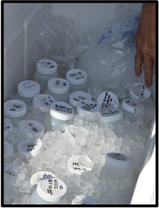 water samples on ice